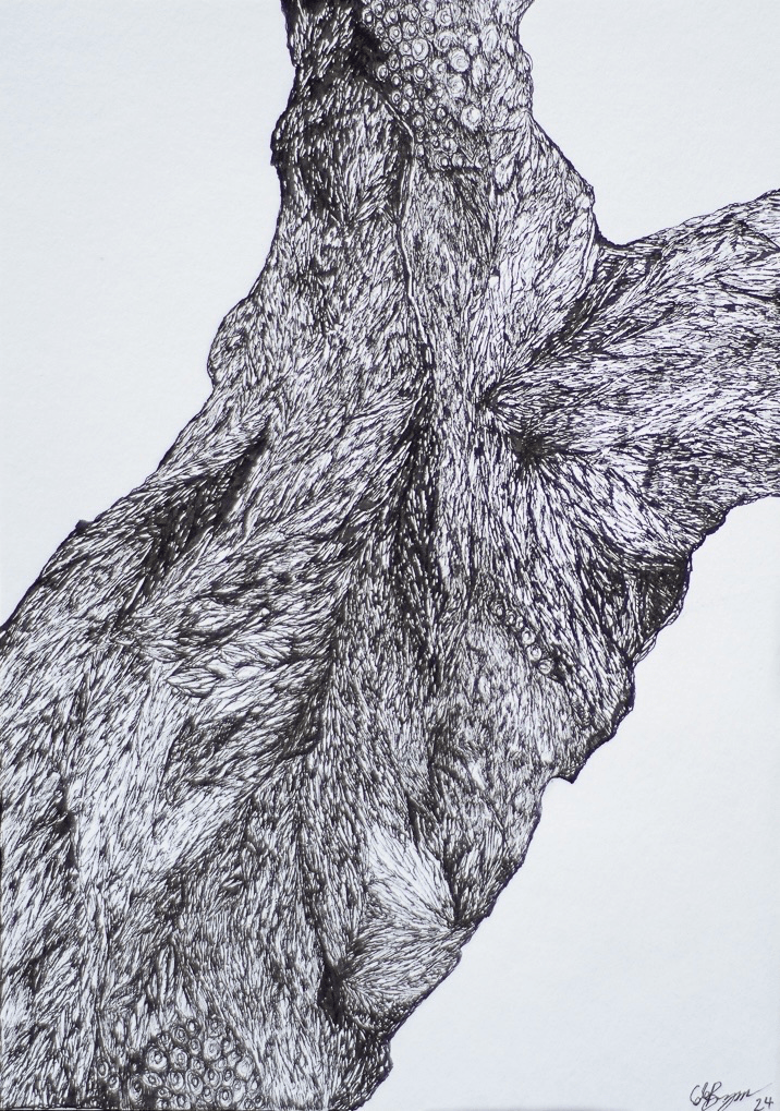 Erosion study 2